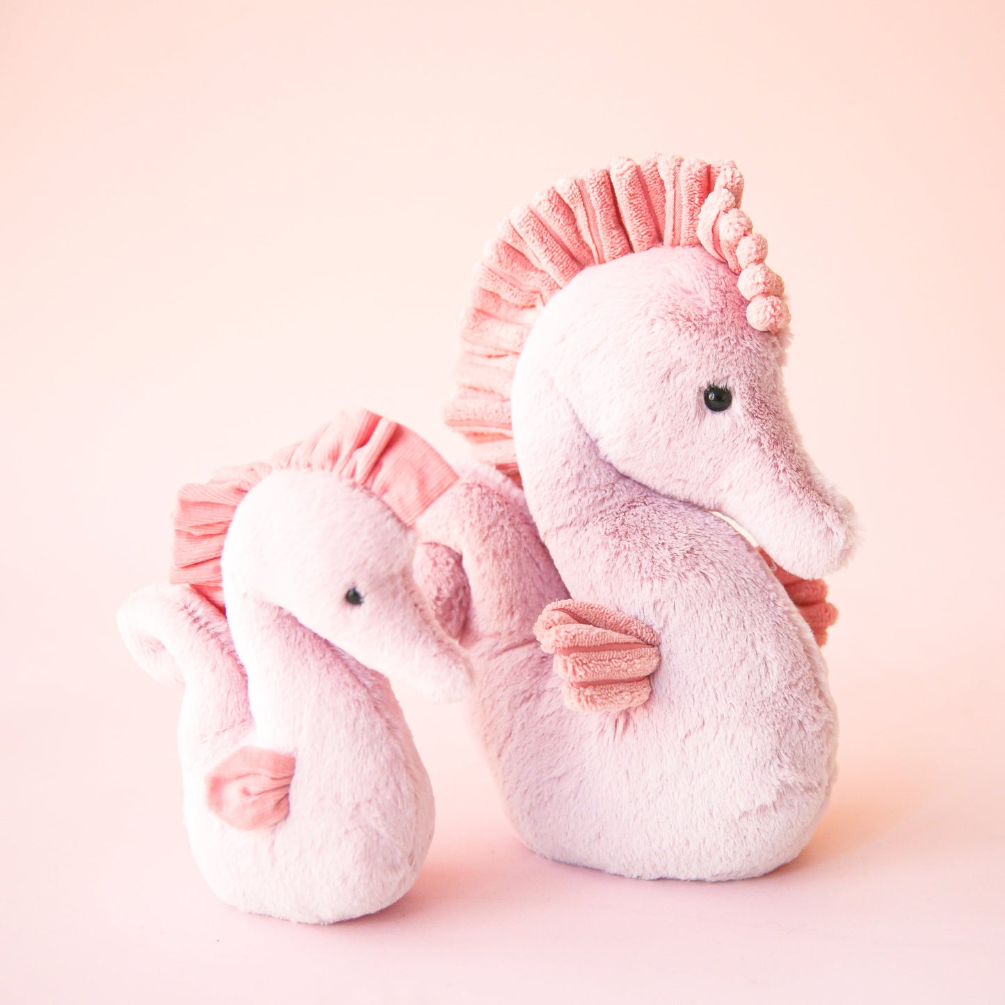 Sienna Seahorse