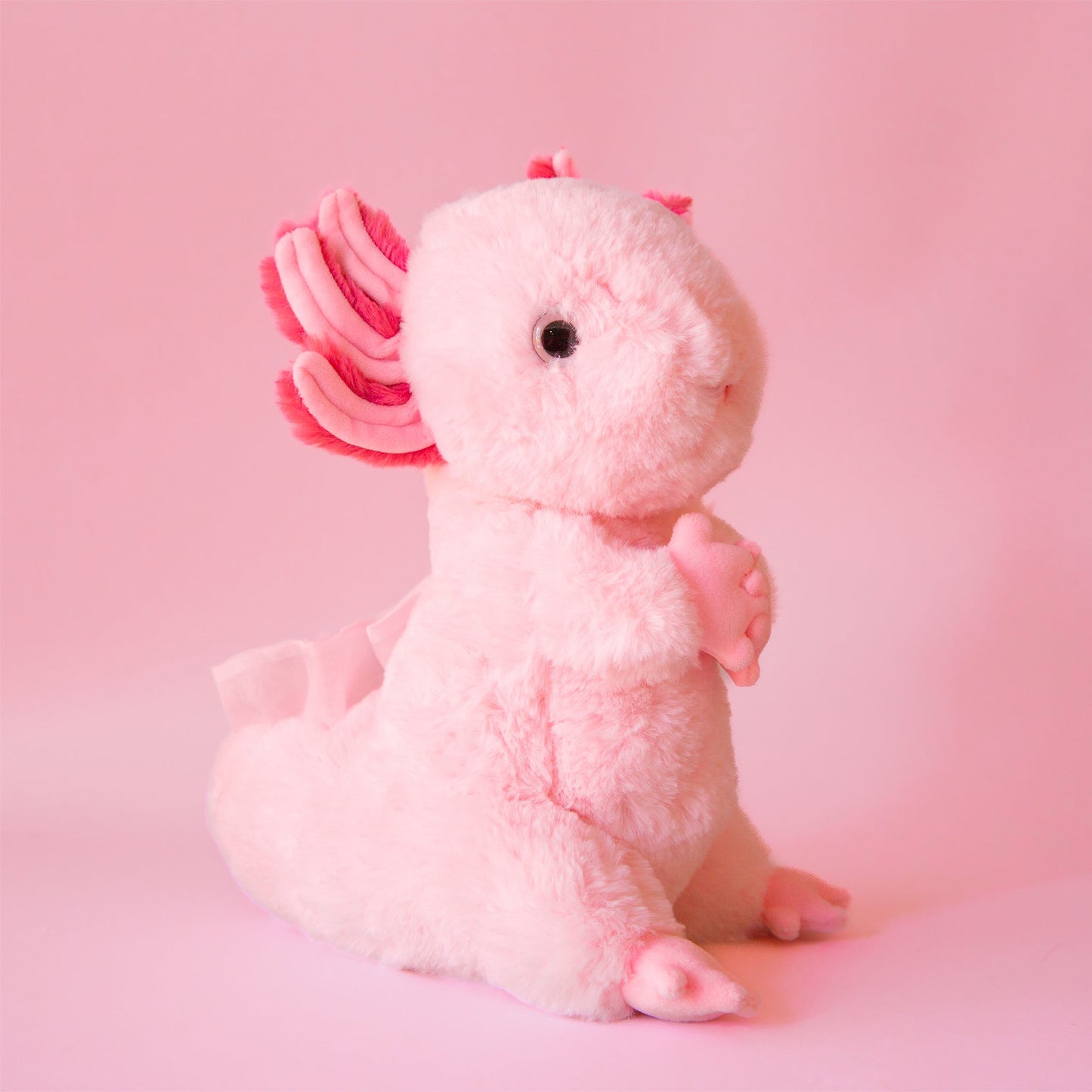 Luisa Axolotl