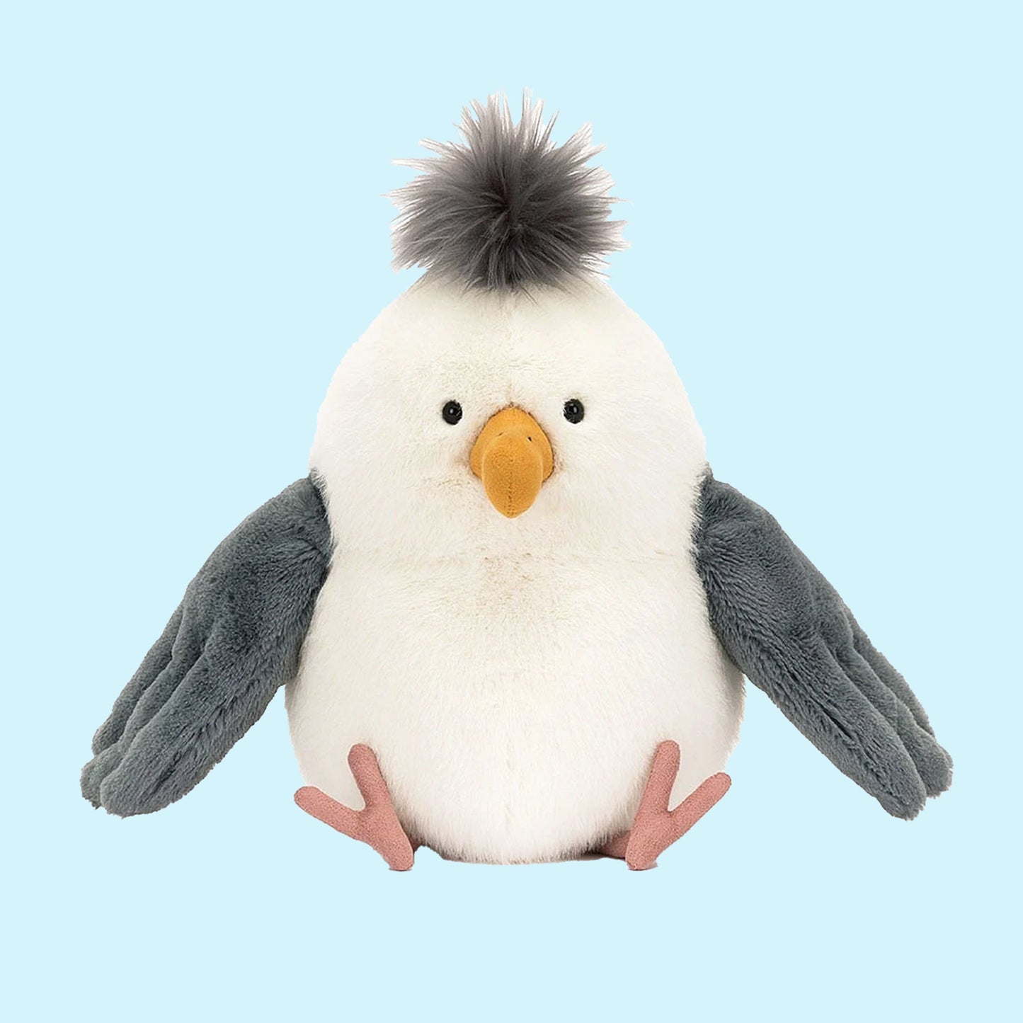 Chip Seagull