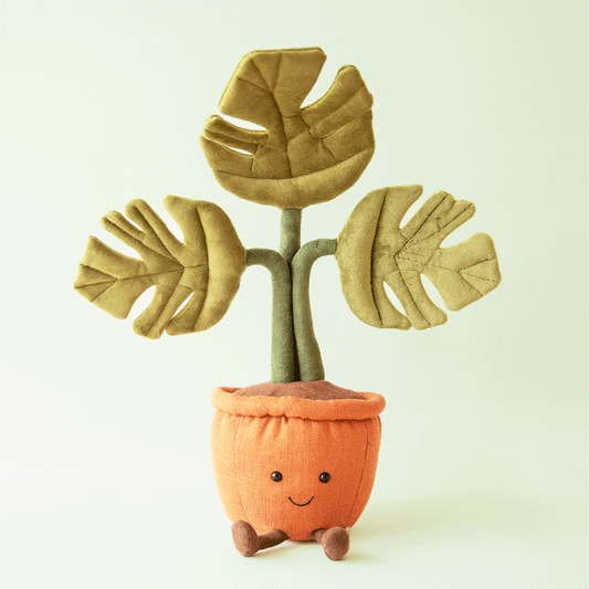 Amuseable Monstera Plant