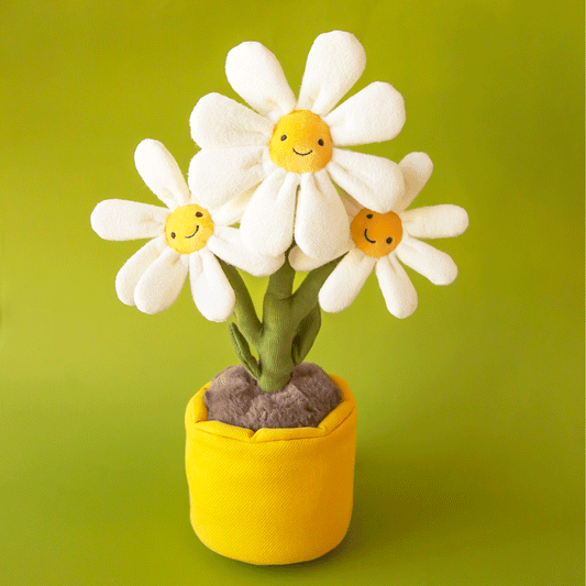 Amuseable Daisy