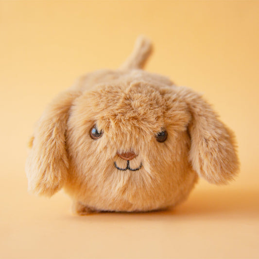 Caboodle Puppy