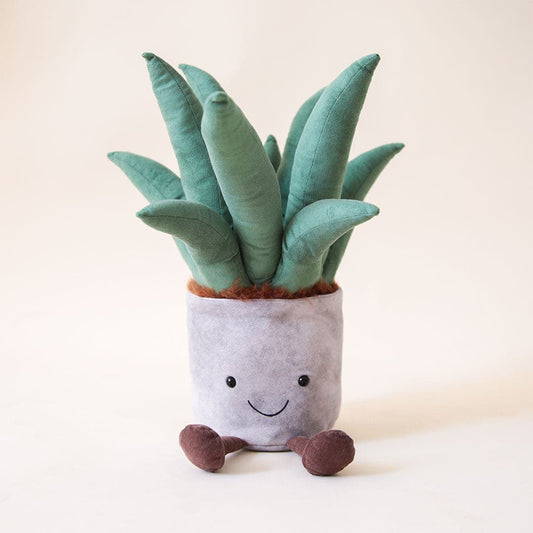 Amusable Aloe Vera