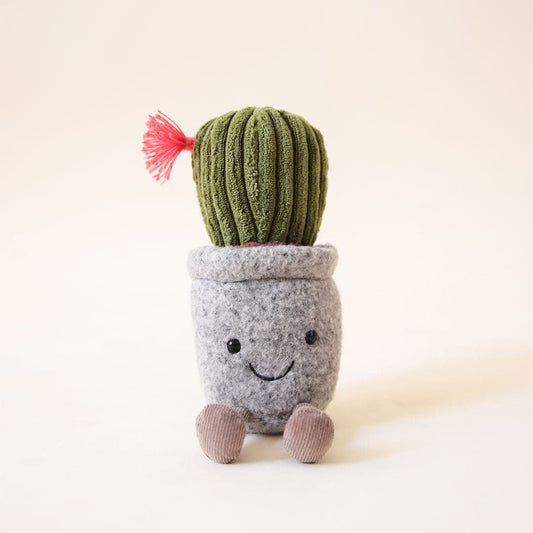 Silly Succulent Cactus