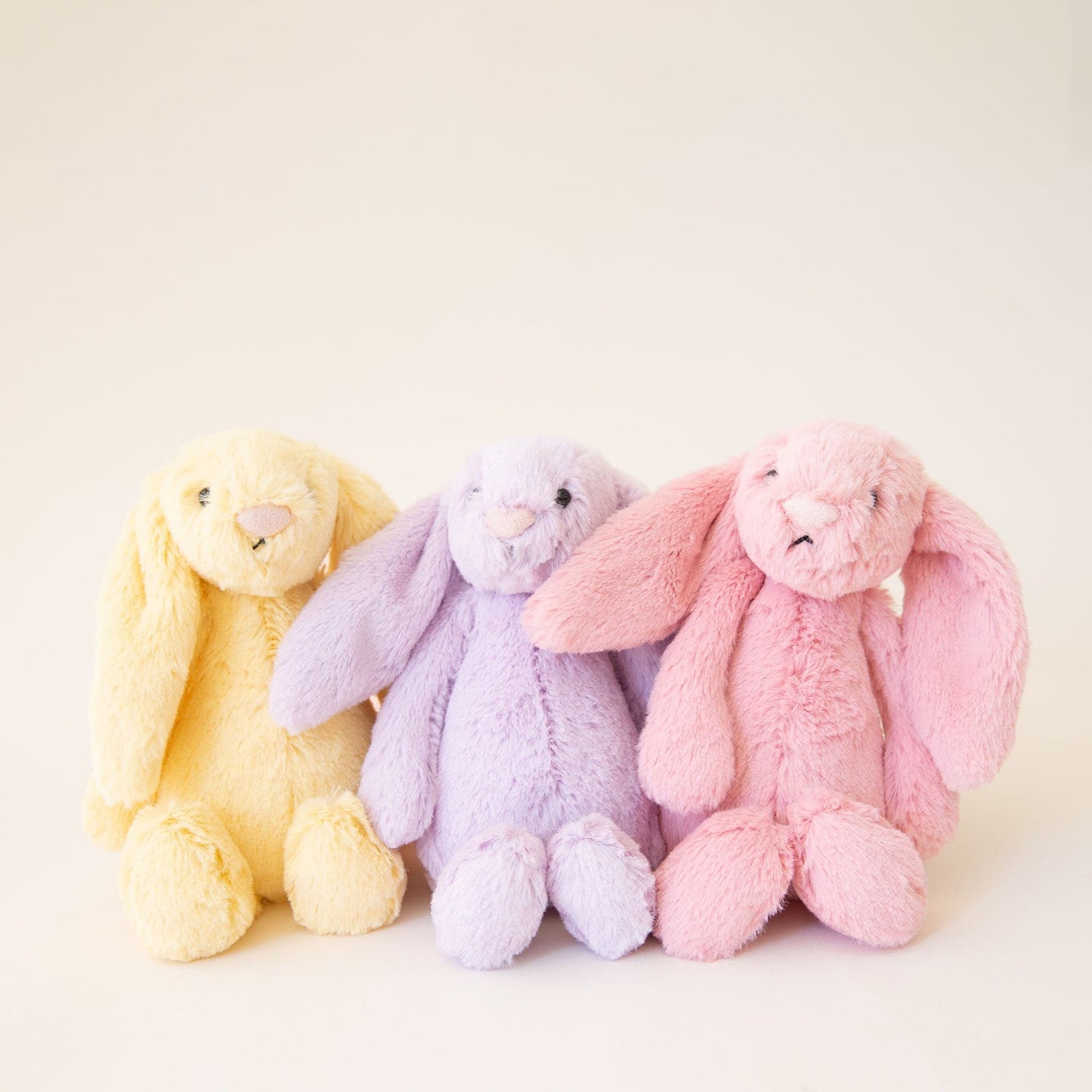Bashful Bunny | Petal