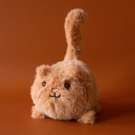 Kitten Caboodle Ginger