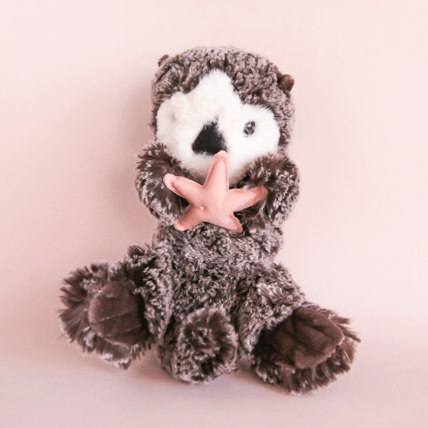 Cruz Otter