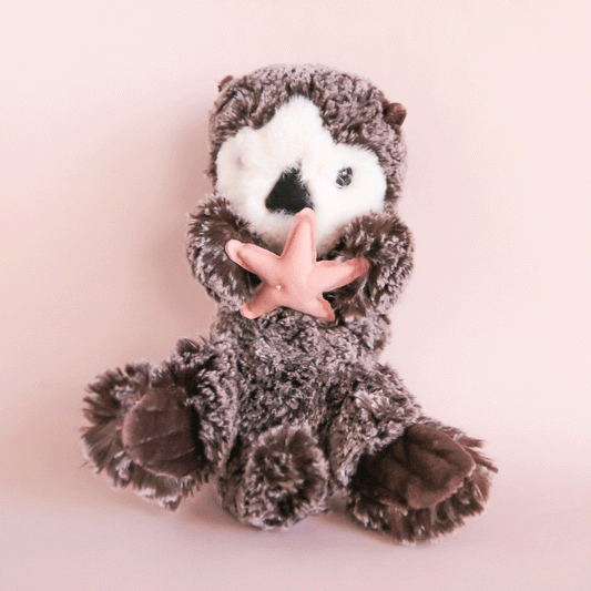 Cruz Otter