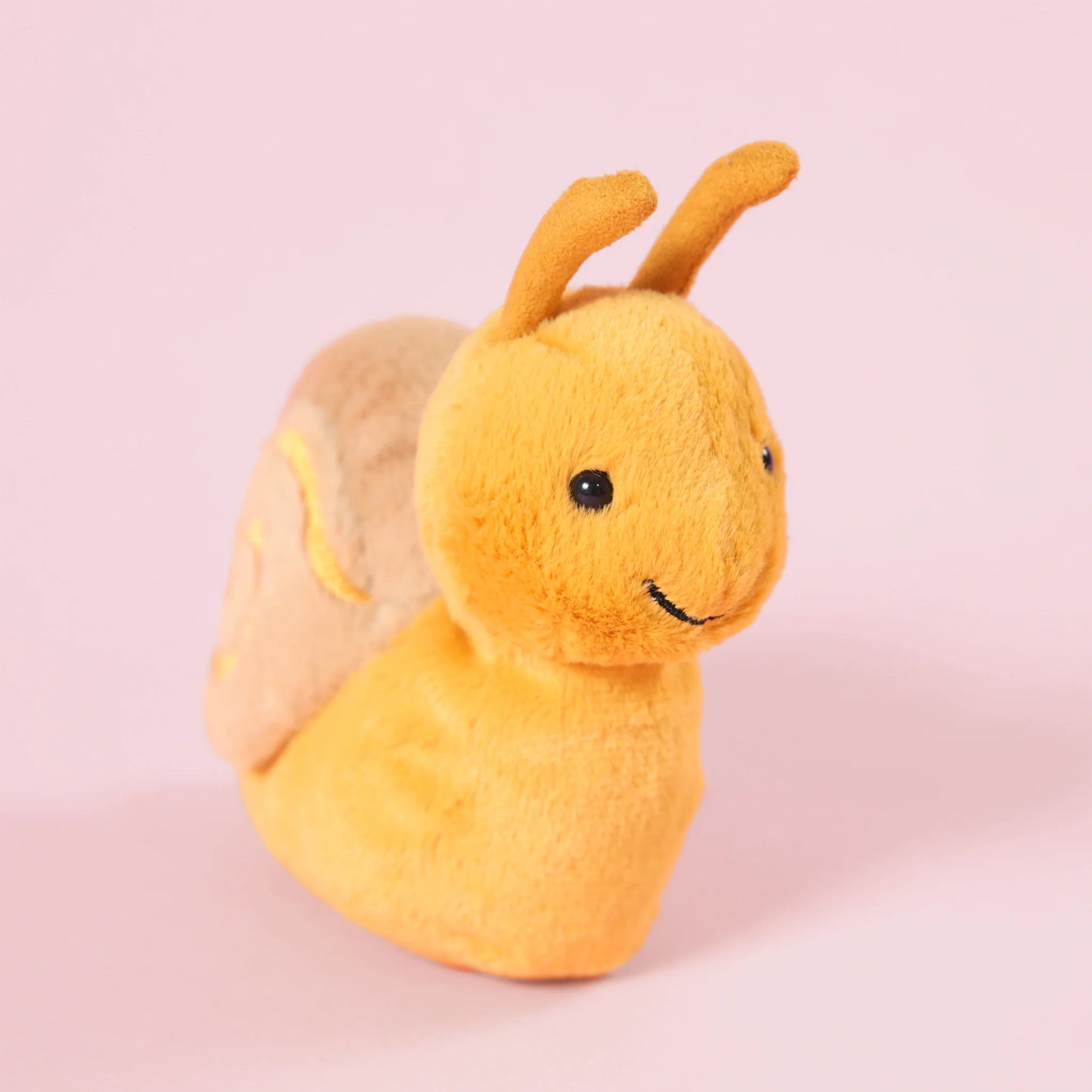 Sandy Snail