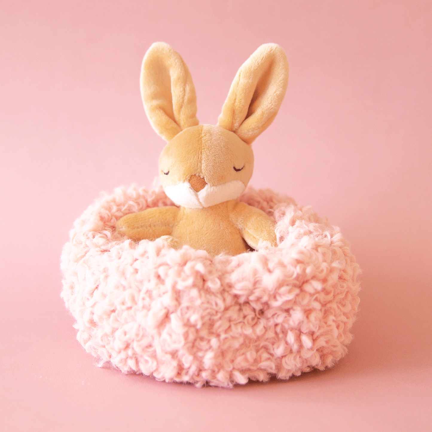 Hibernating Bunny