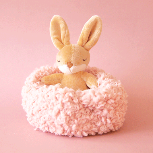 Hibernating Bunny