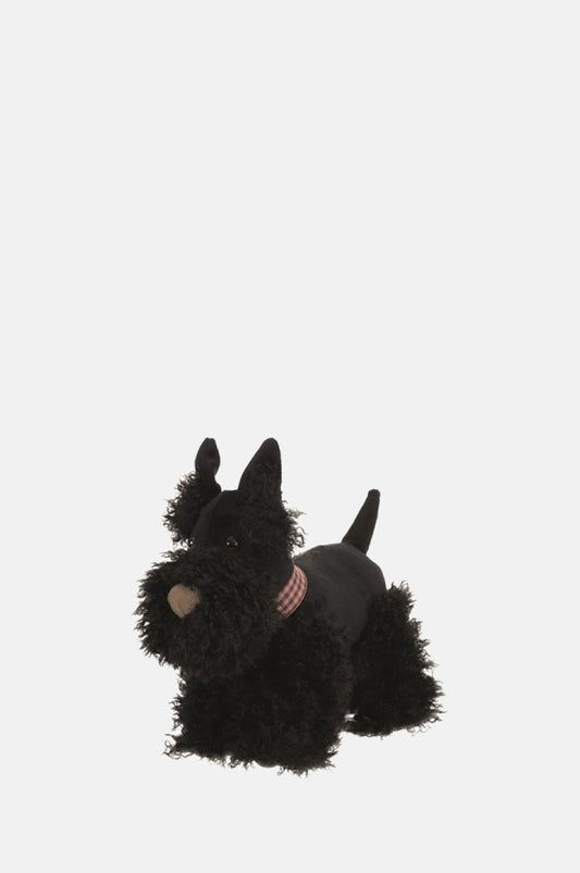 Walter The Dog
