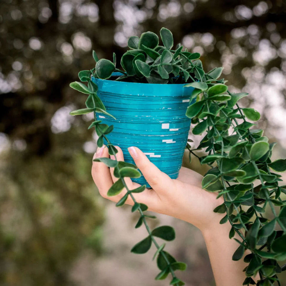 Recycled Paper Planter - FMSCMarketplace.org