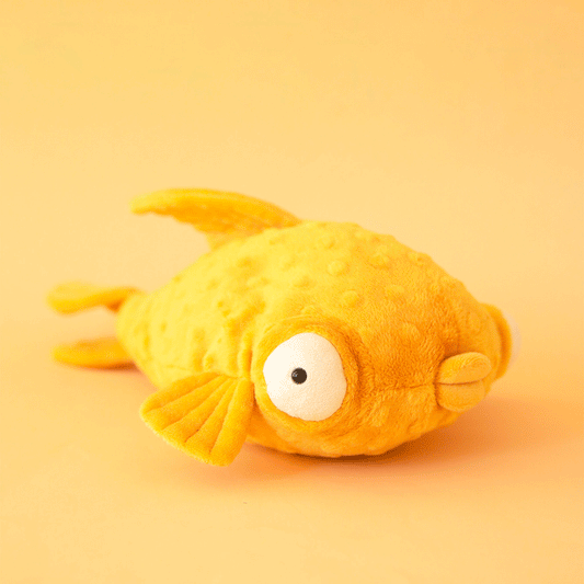 Gracie Grouper Fish