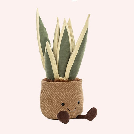 Amusable Snake Plant